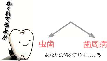 歯が無くなる大きな原因は二つ 歯が無くなる大きな原因は二つ